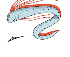 ご要望に応じたイラスト作成致します イメージ1