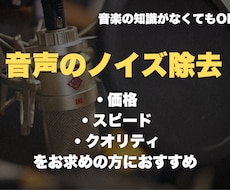 音声のノイズ取ります イメージ1