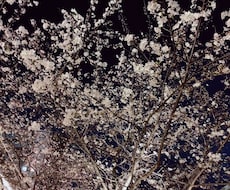 お悩みを解決してあなたを笑顔にします！ます イメージ1