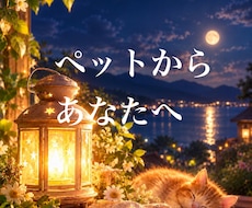 ペットからあなたへ★★メッセージをお届けします 見えても見えなくてもそばにいるペットからあなたへ