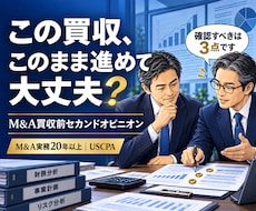 買収前セカンドオピニオンを提供します M&A買収前の価格・財務・進め方の不安を整理します