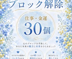 お金、仕事のブロックを　30個解除します イメージ1