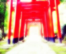 あなたの愛する人との魂と愛の縁をお繋ぎいたします 愛を司る弁財天へと恋愛運即上昇の祈祷、恋愛鑑定