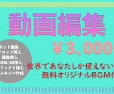 Youtuber編集者が動画編集うけたまわります