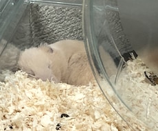 人とのコミュニケーションのノウハウ、教えます イメージ1