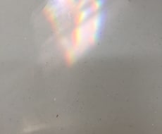 自分が自分のヒーラーに！自分軸の木瞑想します 悩みやすい方ブレない自分軸心の安らぎを得たい方専用