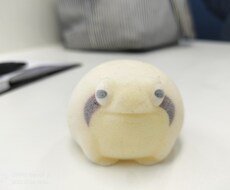 アフリカツメガエル養殖、飼育のご相談に乗ります イメージ1