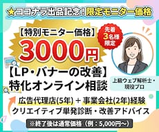 特別価格｜プロがLP・バナーの改善点を解説します 時間がない方でもサクッと本質的な課題と次のアクションが分かる