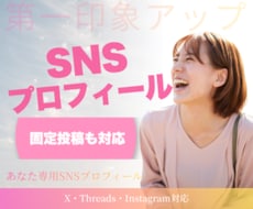 SNSプロフィールを作成します プロフィール・固定投稿をまとめて作成します