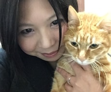 ペットちゃんのお気持ちをお伝えし、癒します ペットちゃんの気持ち、行方不明のペットちゃんの捜索