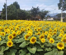 仕事での悩みを自分で切り抜ける改革を教えます イメージ1