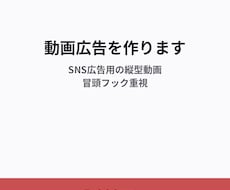 5,000円〜でSNS動画広告を作ります イメージ1