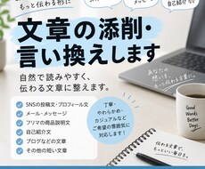 文章を自然で読みやすく添削します イメージ1