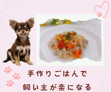 愛犬の声を聞いた手作りごはんをお伝えします イメージ1