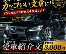 愛車の紹介文をカッコよく作りますます イメージ1