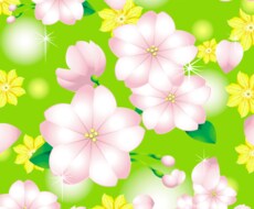 腰痛に悩む日々から手術まで イメージ1