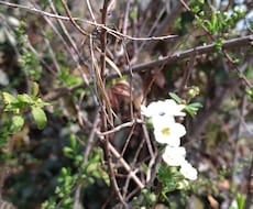 カウンセラーのプロが心を優しく開放します イメージ1