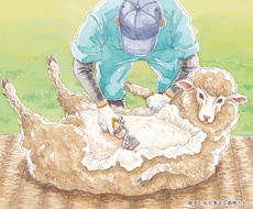 絵本調の柔らかく温かなイラストをご提供いたします イメージ1