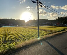 カウンセリング承ります イメージ1