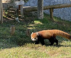 えっちょっとわかんないんだけどどうしよう？聞きます イメージ1