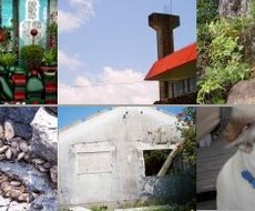 あなたの隠れている個性は何か？10枚の写真に直感で好き嫌いをつけて送信してください。