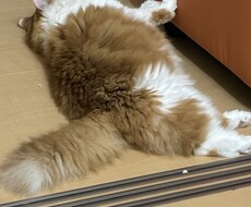 週6働く現役調剤事務があなたの愚痴を優しく聴きます イメージ1