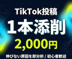 Tiktok投稿たった1本で診断します あなたの投稿もっと伸ばせます。プロが診断。