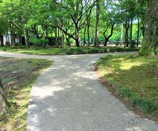 離婚する？しない？真に望む方向へ背中を押します イメージ1