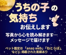 うちの子の気持ち、お伝えします イメージ1
