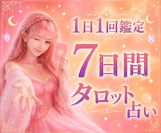 毎日１回！7日間お悩みをタロットで占います イメージ1