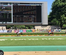 初心者必見！盛岡クラスターCの軸馬教えます