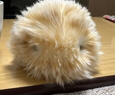 何でも聞きます イメージ1