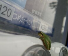 お話(*´ω｀*)聞きます イメージ1