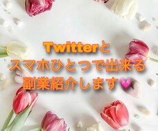 スマホとTwitterで出来る副業教えます スキマ時間に！フォロワー0から出来る副業紹介