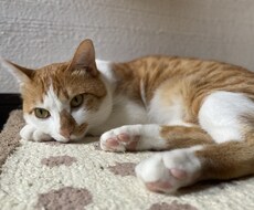 相談・愚痴ききます イメージ1