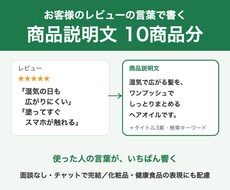 レビューの言葉で商品説明文を10商品分作ります イメージ1