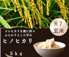 LINE公式アカウントの構築代行します イメージ1