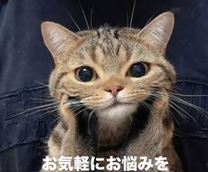 介護、美容、健康等に対してお話お聞きします イメージ1
