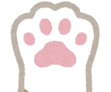 お試し/神様のお言葉をお伝えします 神様だって伝えたいこといっぱいなんです。