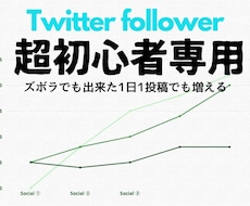 超【初心者専用】★フォロワー★増加方法おしえます イメージ1