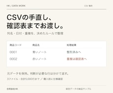 CSVの列名や日付を整え確認表付きで納品します イメージ1