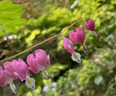 婚活のお手伝いをします イメージ1