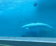 30分間トークルームでお相手します イメージ1