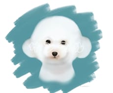 大切な家族（動物）のイラスト描きます イメージ1