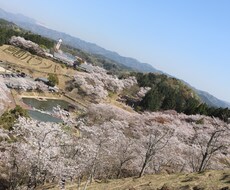 暇な時、寂しい時、嬉しい時話し相手になります イメージ1