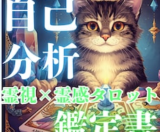 本当のあなたを見抜く取り扱い説明書を製作いたします イメージ1