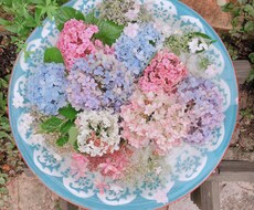 好きな人の気持ち占います タロットであらゆる人間関係のお悩み、スッキリさせましょう☺︎