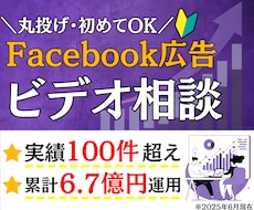 ビデオ通話！Facebook広告の疑問に答えます 施策提案・改善提案・成果計測・運用指導を行うコンサルティング