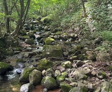 読みたい本を代わりに読み、抜粋し要約します イメージ1