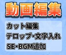 カット、テロップ入れ、動画編集いたします イメージ1